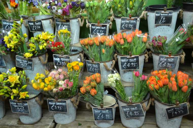 tulipes Covered market